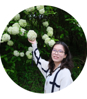 yifan yang